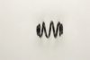 BARKA 12102287 Coil Spring
